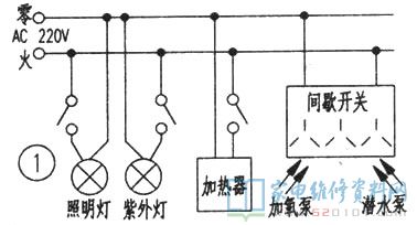 日常的功能齐全的水族箱一般都装有多种多样家用电器